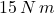 15\,N\,m