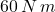 60\,N\,m
