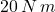 20\,N\,m
